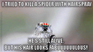 Hairspray spider.gif