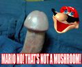 Mario likes cocks.