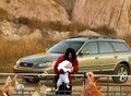 Michael Jackson feeds the dogs.